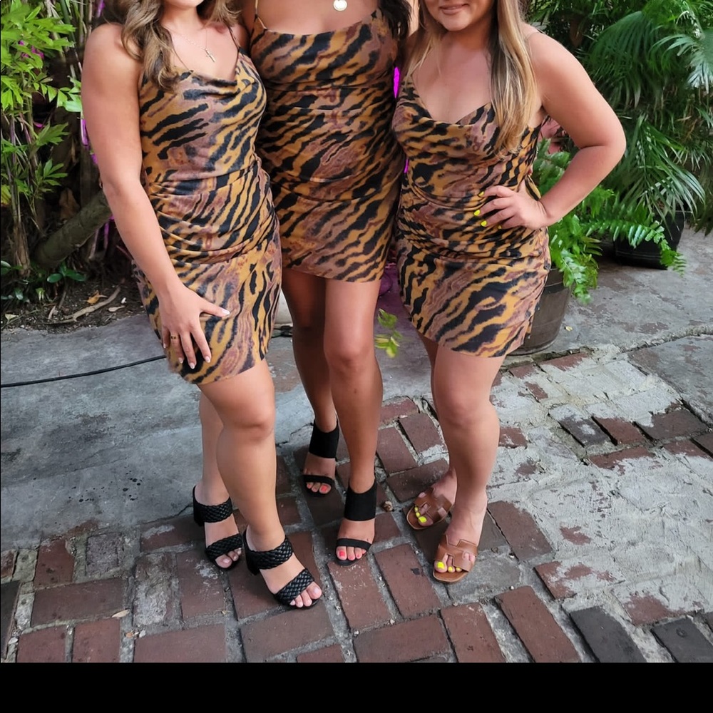 Print dress from Nordstrom